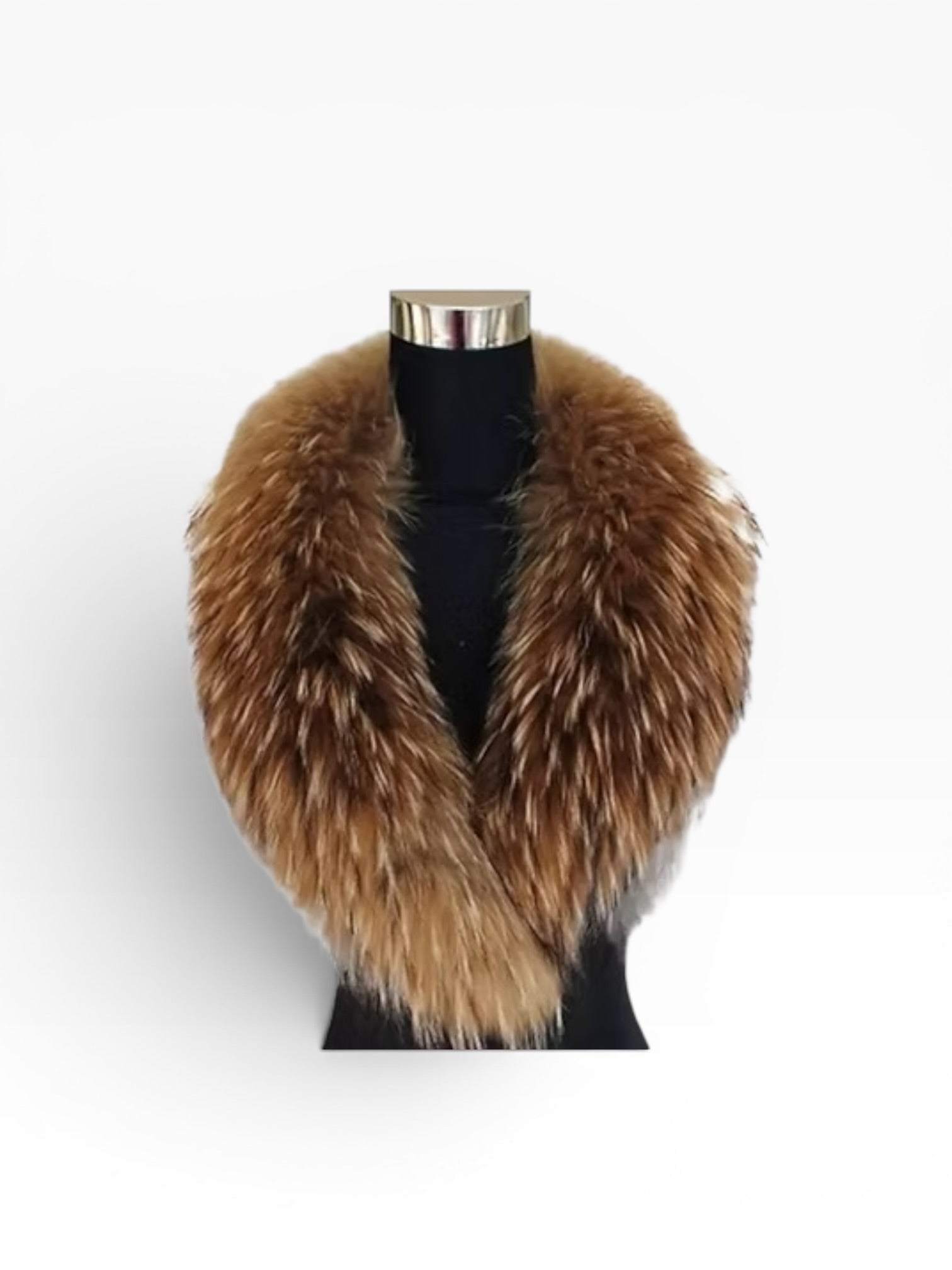 Gola Fox