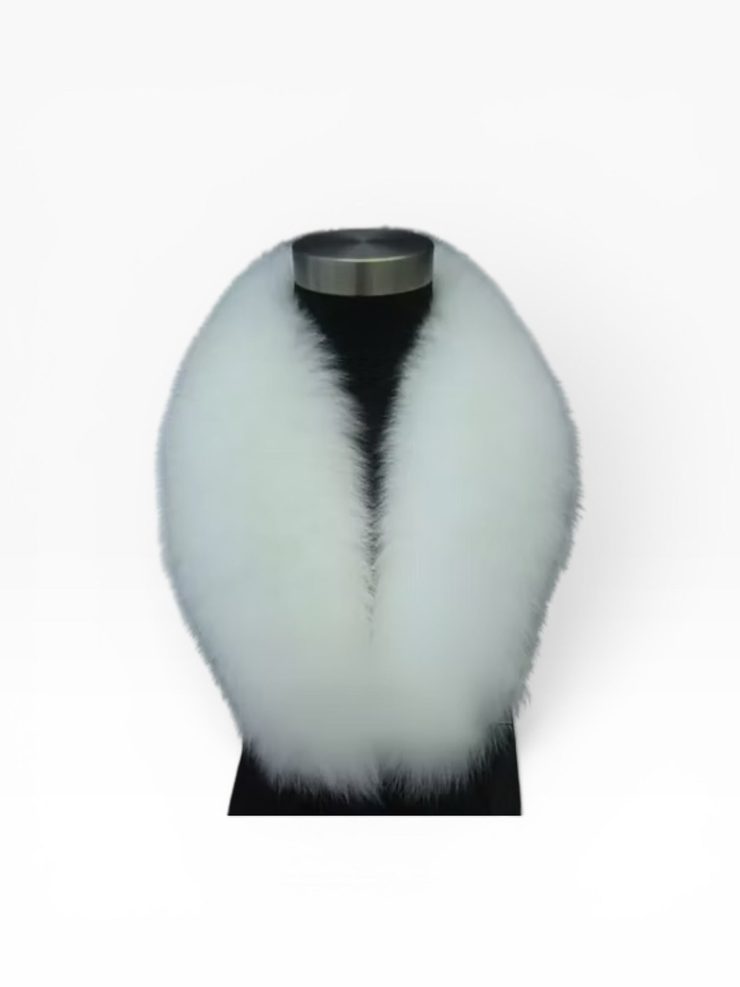 Gola Fox