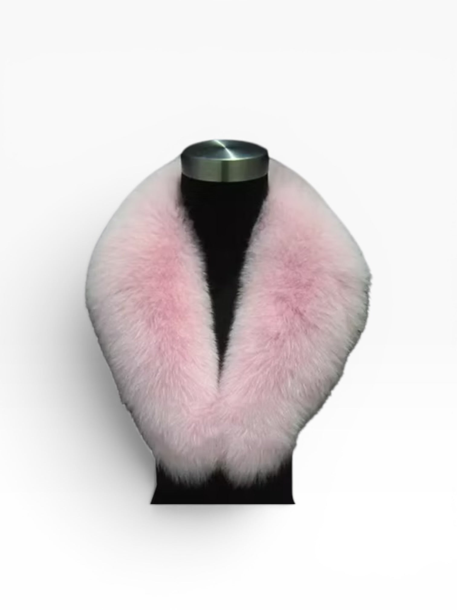 Gola Fox